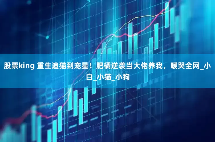 股票king 重生追猫到宠星！肥橘逆袭当大佬养我，暖哭全网_小白_小猫_小狗