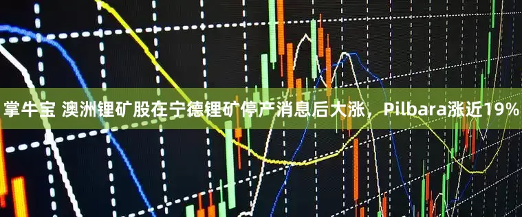 掌牛宝 澳洲锂矿股在宁德锂矿停产消息后大涨，Pilbara涨近19%