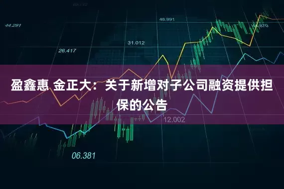 盈鑫惠 金正大：关于新增对子公司融资提供担保的公告